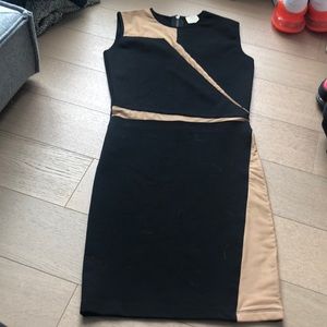 Torn by Ronny Kobo black and nude mesh dress